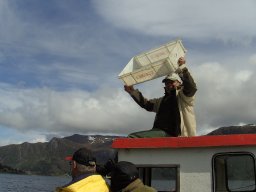 Norwegen 2008 Rundereim